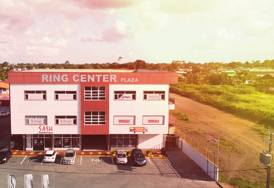 Facilitating businesses in Suriname